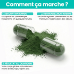 GLOBANAX DEOS | Solution Naturelle Anti-Haleine & Odeurs Corporelles